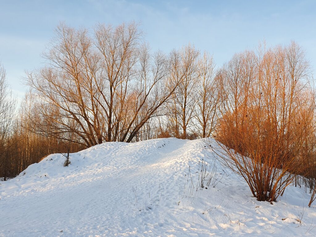 Vana-Pärnu kelgumägi